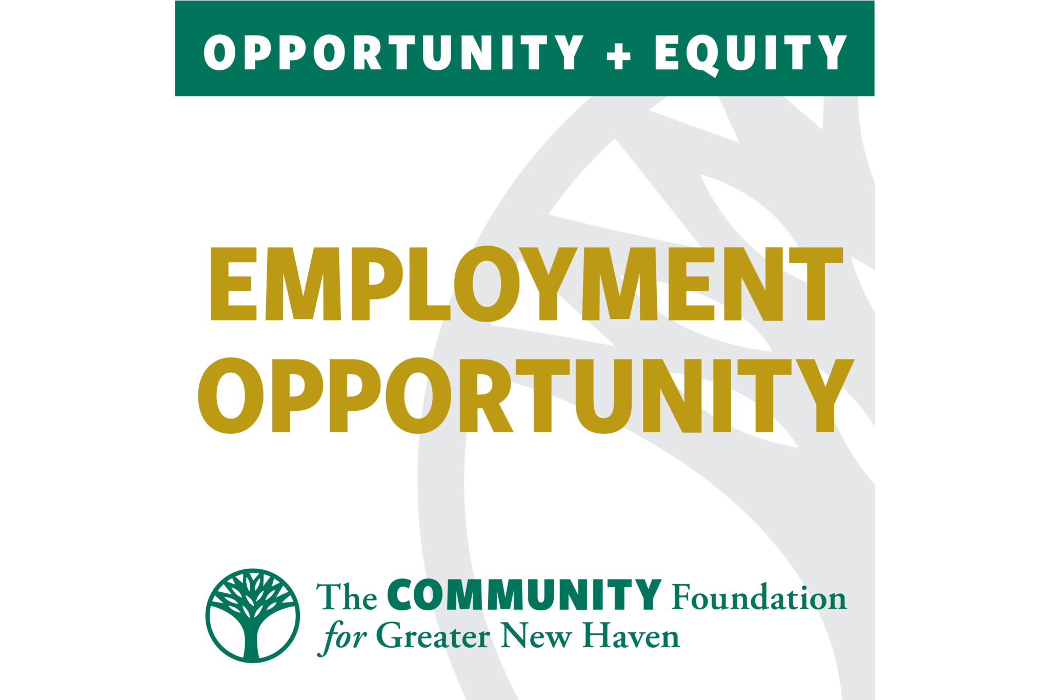 Green banner with OPPORTUNITY + EQUITY. Below, large gold text reads EMPLOYMENT OPPORTUNITY. At the bottom, logo and text: The Community Foundation for Greater New Haven.