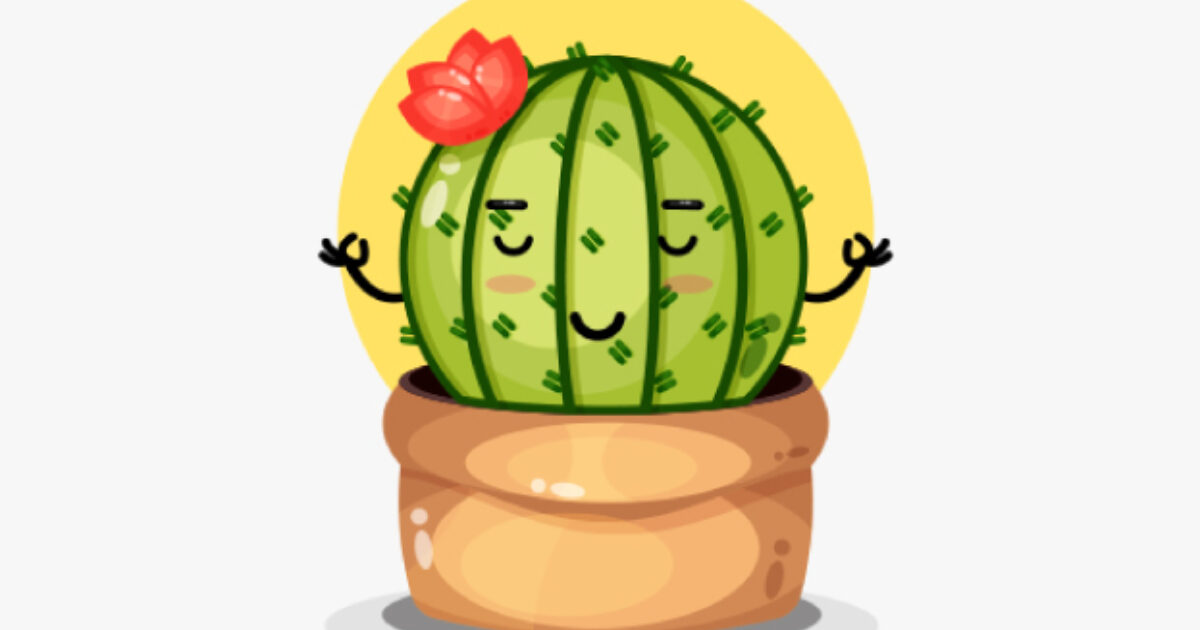 Even a Cactus Needs… | The Community Foundation for Greater New Haven