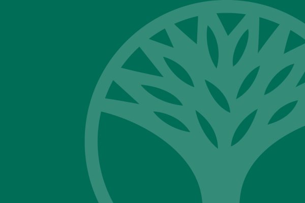 Graphic of a stylized tree with branches and leaves, shown in a circular design on a solid dark green background. The tree and circle are in a lighter green shade.